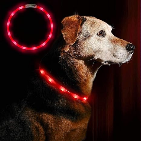 Anicoll LED Leuchthalsband Hunde Halsband USB wiederaufladbar - Längenverstellbarer Haustier Sicherheit Kragen für Hunde und 