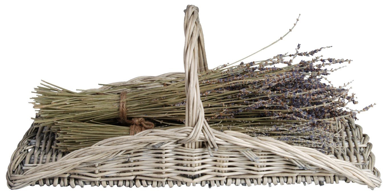 Fallen Fruits MW45 Flower Trug - Grey