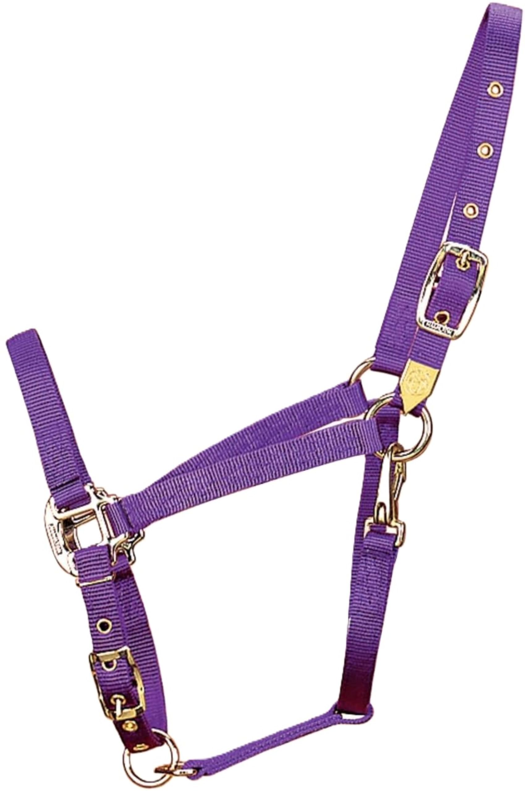 Hamilton 1-Inch Nylon Halter with Adjustable Chin, Purple - Average Size
