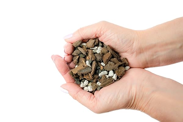 PREMIUM BONSAI SOIL ALL PURPOSE FAST DRAINING MIX – PUMICE, LAVA, CALCINED CLAY AND PINE BARK POTTING PRE MIXED BONSAI PLANT SOIL MIXTURE BY GARDENERA- MADE IN USA – (2 QUART BAG)