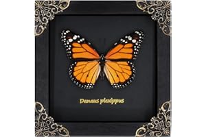 AGAOECE Monarch Butterfly Framed Decoration - Handmade Wood Shadow Box Insect Frame for Butterfly Collectors - Tabletop, Wall Art, Gothic Home Decor
