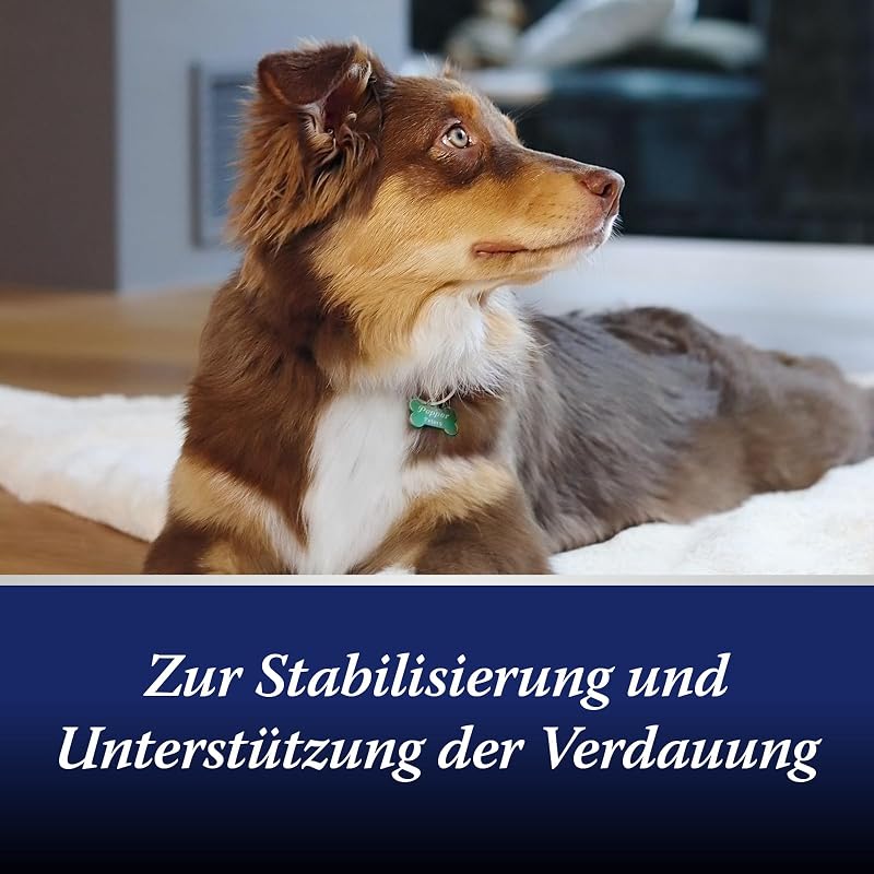 Darmflora Hund - 30 Tabletten