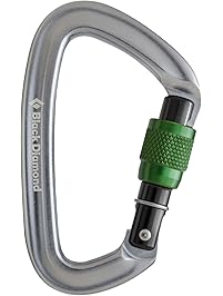 Black Diamond Positron Screwgate Carabiner