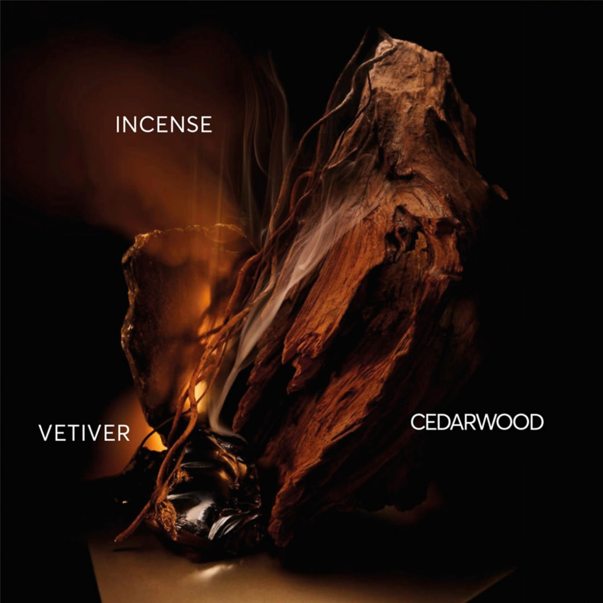 BOSS BOTTLED ELIXIR Parfum Intense For him 3