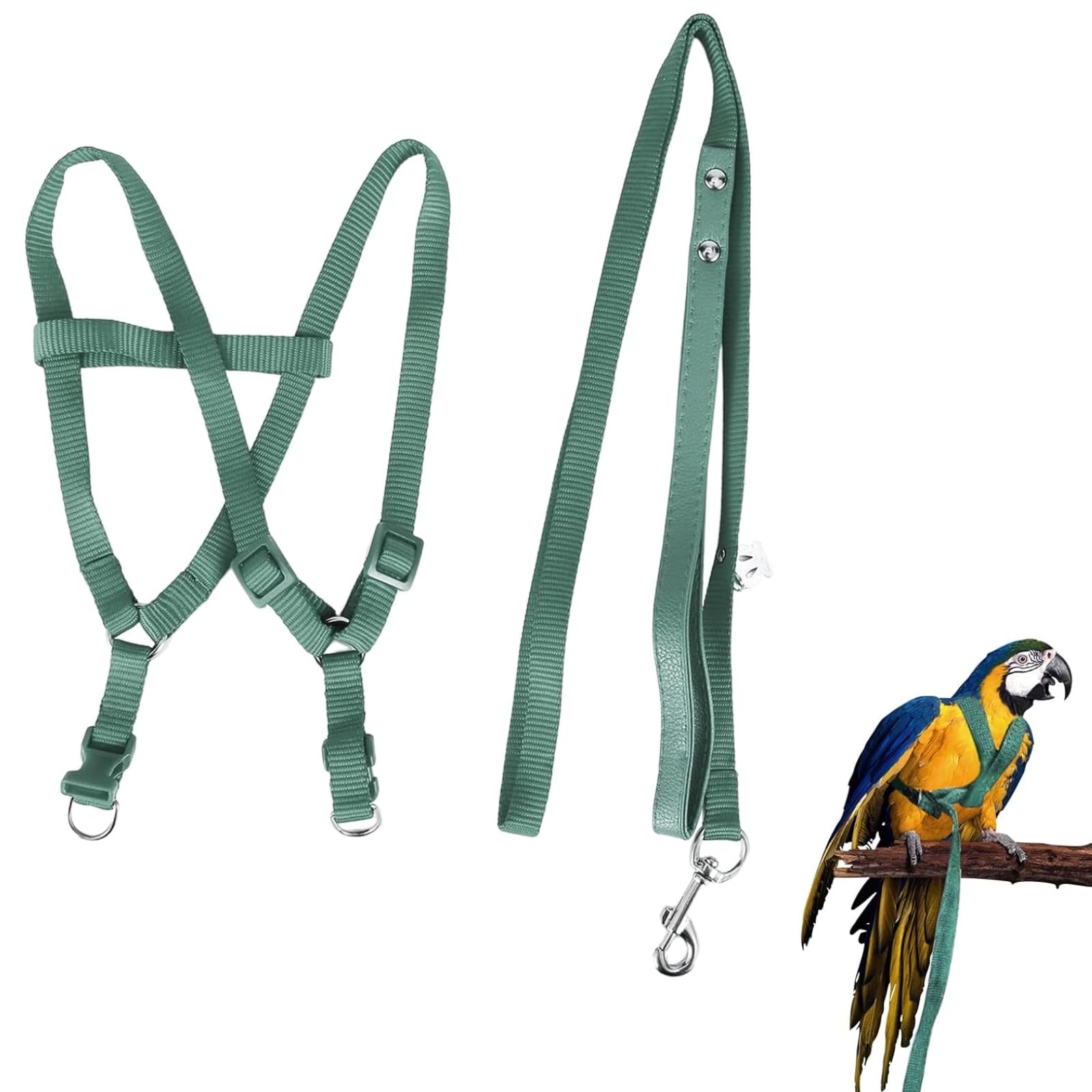 Felenny Bird Harness and Leash Adjustable Bird Leash Essential Accessories Outdoor Flying Anti-bite Suitable for Scarlet Macaw Sun Conure Cockatiel parrot (Green (Small))