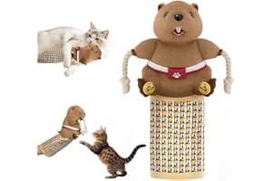 YoPoll Cat Wrestling Glove, Cats Puppet Wrestler with Tough Padding for Safe Interactive Play, Cat Wrestling Toy Puppet with Cats Teaser and Bell for Boredom Busting Training and Exercise