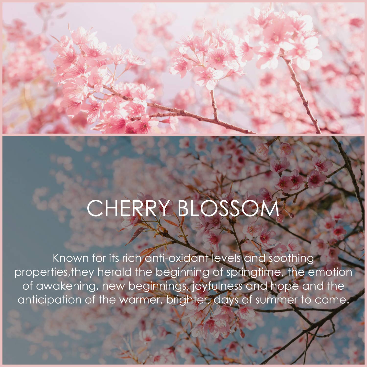 Cherry Blossom Essential Oil 120ml (4 Fl Oz), SALKING Pure & Natural Fragrance Oils, Aromatherapy Essential Oils for Diffuser, Massage, Soap, Candle Making, Perfume - Image 3