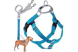 2 Hounds Design Freedom No Pull Dog Harness, Adjustable Harness and Leash Set, Easy Walking & Comfortable Control, Fits Small, Medium & Large Dogs, Solid Colors, Made in USA, 5/8" XS, Turquoise