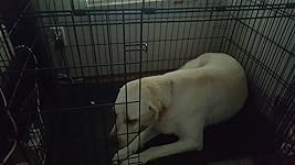 Review Image by Mandy Mandy