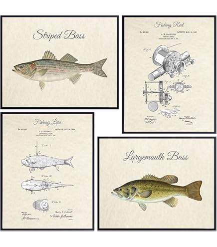 1914 heddon fishing lure patent art Vintage Print Poster 11x14 Largemouth Bass Cabin Wall Decor: Posters & Prints ABEL VAYA FLY REEL Create your own unique Model:AMBPR6500CS-HS (6.3:1 Gear Ratio - Right Hand) ceramic bearings