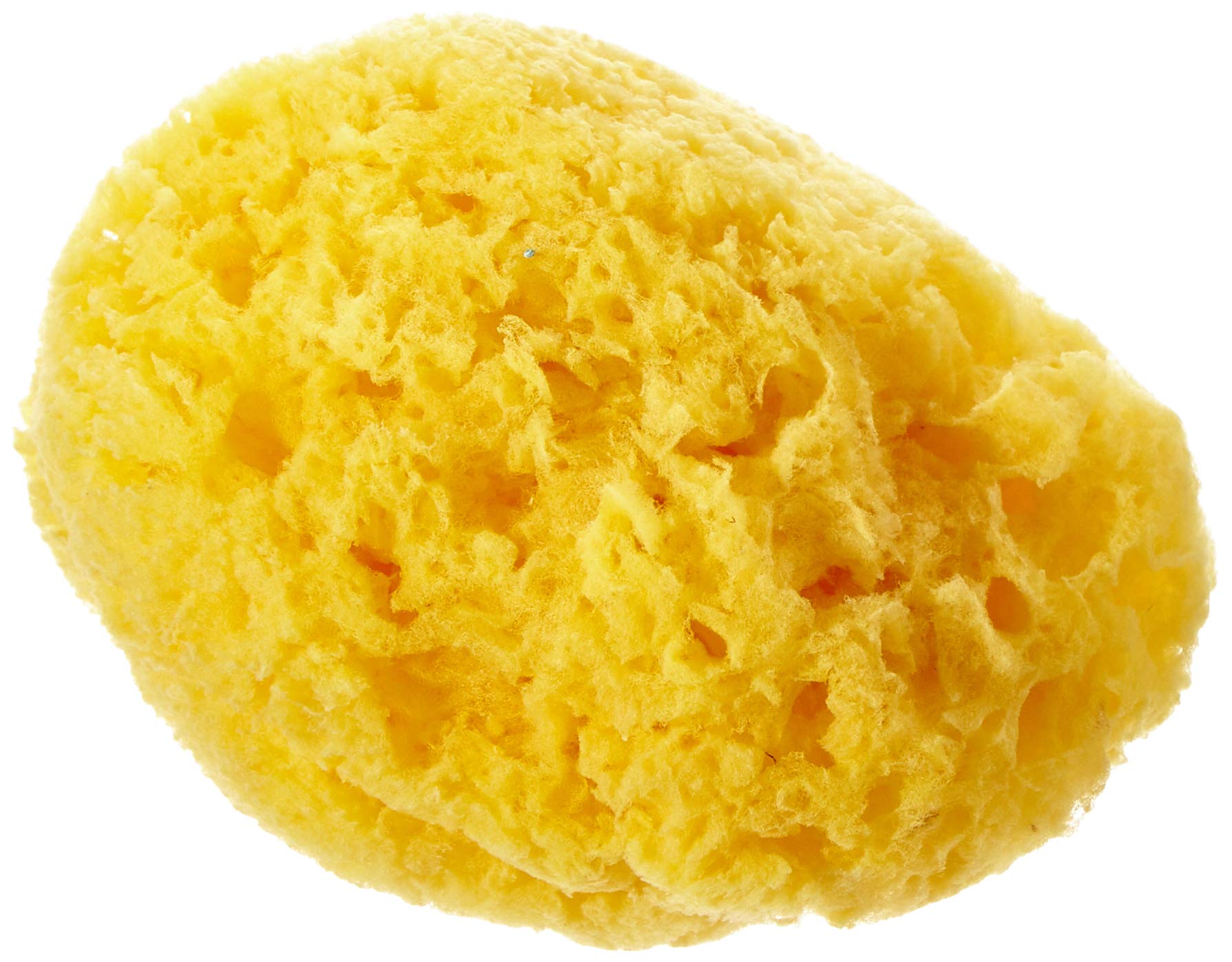 CarIBE Marine Accessories for Bathroom 1 Unit 70 g