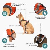 Embark Pets No-Pull Dog Harness Front & Back Leash Clips Adjustable Paw view 3