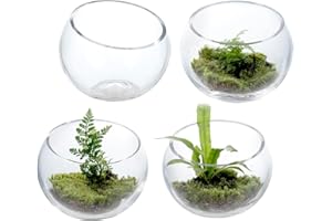 MyGift Premium Hotel Series 5 Inch Round Clear Glass Air Plant Terrariums, Mini Candy Bowl Jars, Tealight Candle Holders, Suc