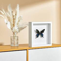 MUXIUNT 8×8 Shadow Box Picture Frame Display Cases