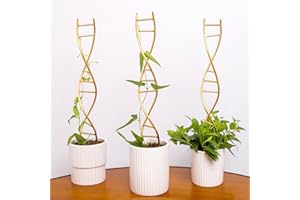 GOOOXIM Indoor Plant Trellis for Potted Plants - Durable Metal Climbing Trellis with Unique DNA Spiral Design for Vining Plants, Easy Installation for Indoor & Outdoor Use