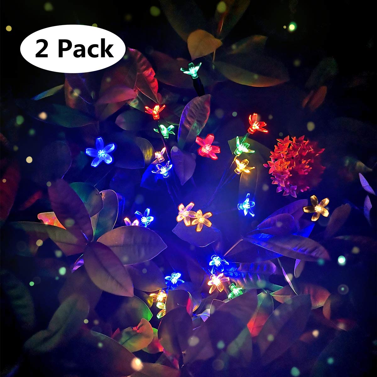 External decorative lights External decorative lights