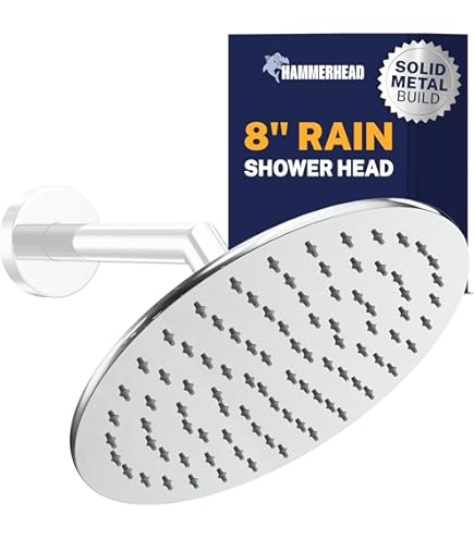 Classic Hansgrohe Selecta ハンスグローエ セレクタ Hansgrohe Selecta Classic Adjustable Shower Head, Chrome Finish, 2