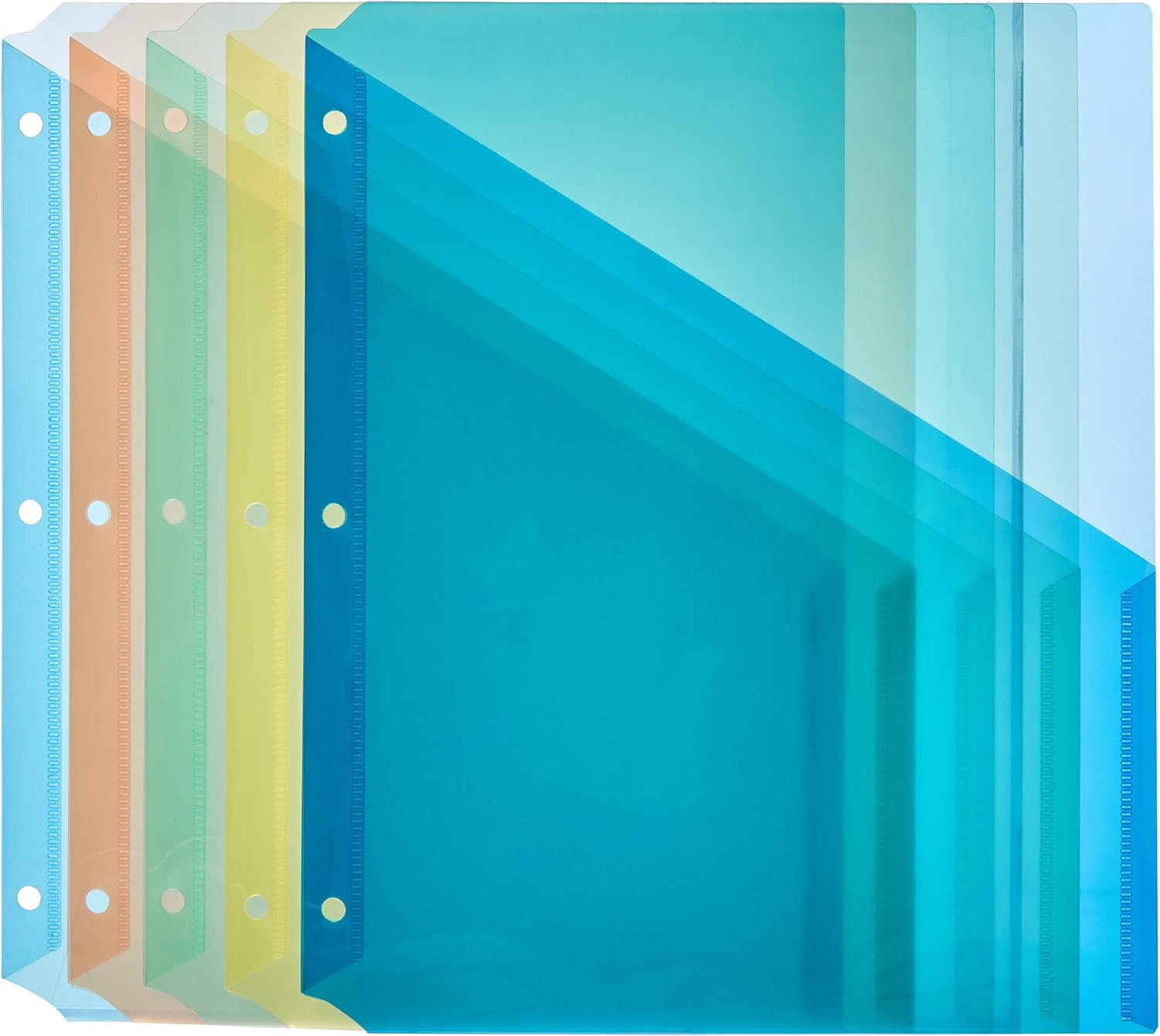 Basics Binder Organizer Poly Jacket, 3 Hole Punch, Assorted Colors, Pack of 25 : Office Products