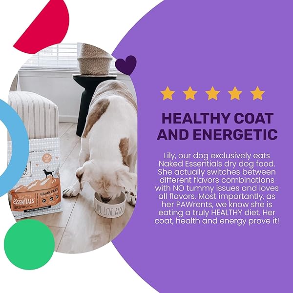 I AND LOVE AND YOU NAKED ESSENTIALS DRY DOG FOOD – CHICKEN + DUCK – HIGH PROTEIN, REAL MEAT, NO FILLERS, PREBIOTICS + PROBIOTICS, 11LB BAG