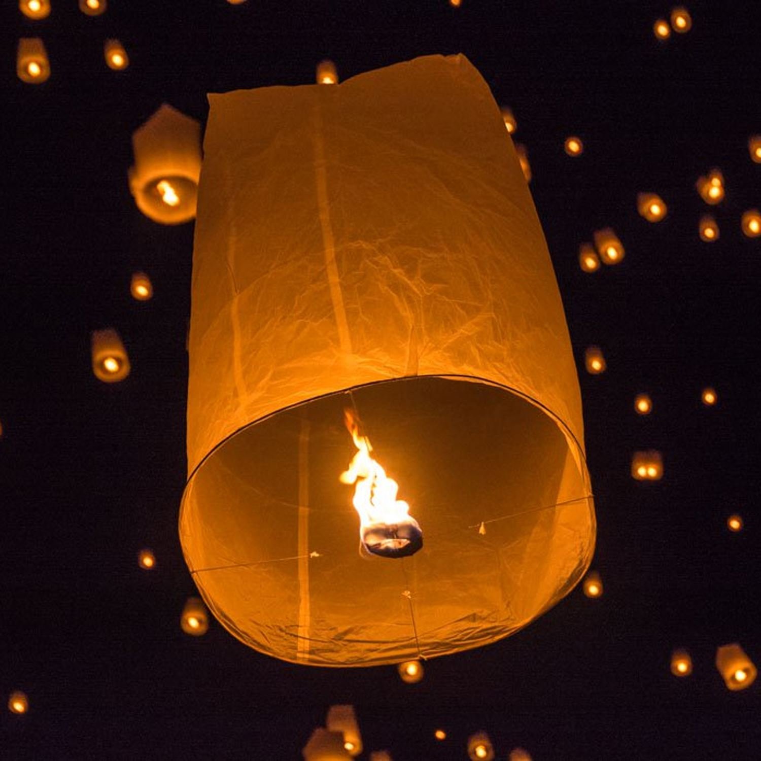 Home & Kitchen Ideal for weddings events 100 Biodegradable 2 x Simpa