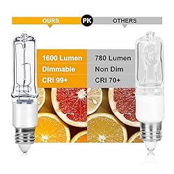 GMY JDE11 120V 100W T4 Mini Candelabra Base 1600lm