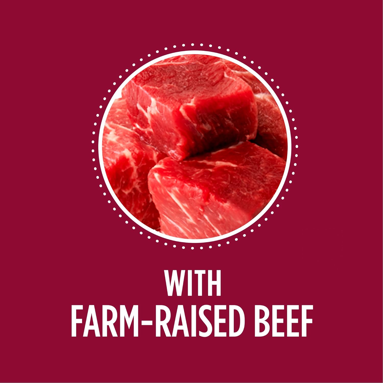 iams proactive health beef and rice