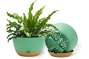 Koalaime 8 Inch Pots for Indoor Plants, Self Watering Planters with Drainage and Saucers, Plastic Outdoor Flower Pot, Set of 2, Green