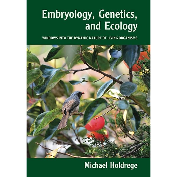 Amazon.com: Ecology, Fourth Edition (Looseleaf0