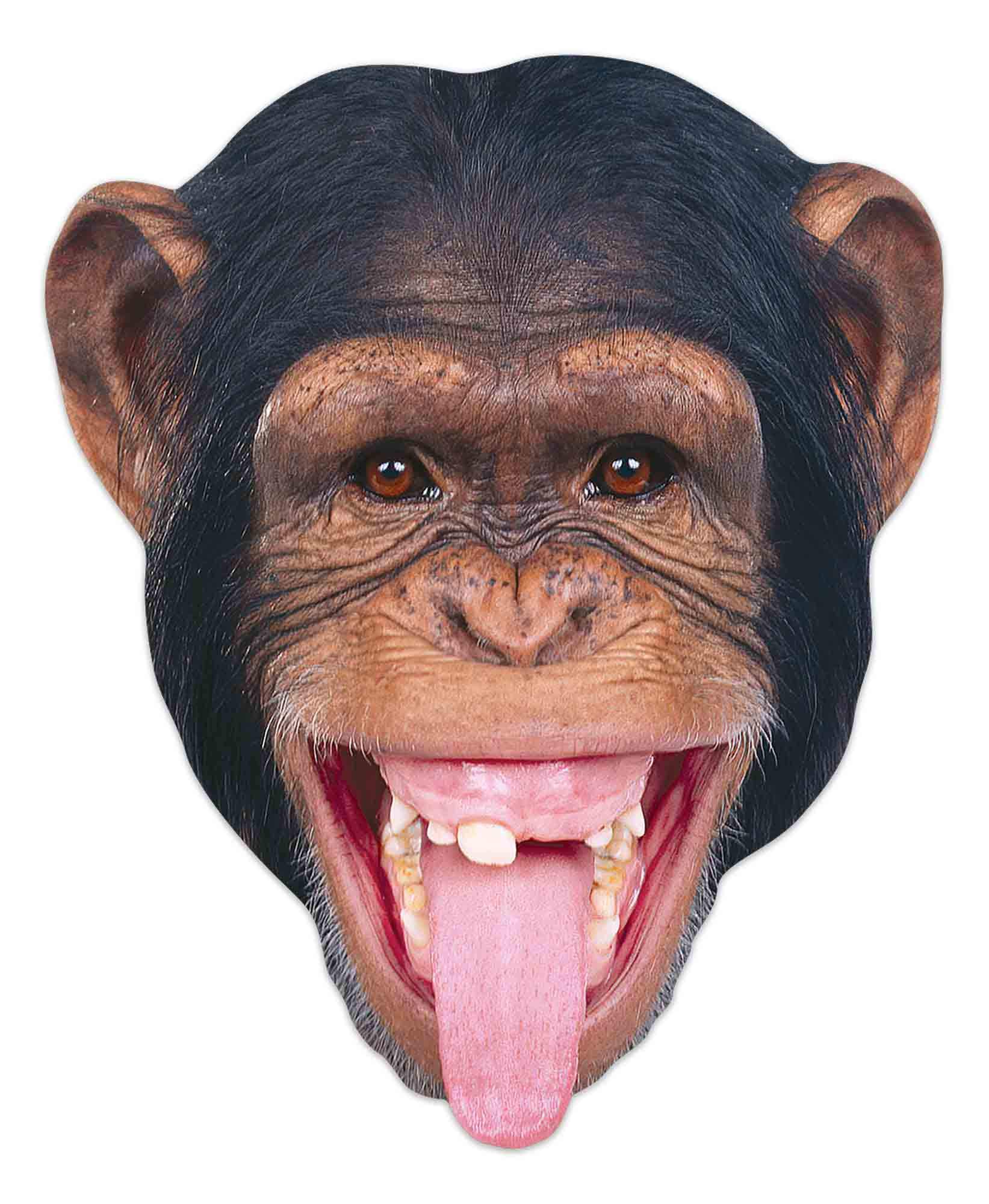 Star Cutouts SM389 Chimpanzee Animal Cardboard Face Mask – Kids Costume Fancy Dress Party Favour