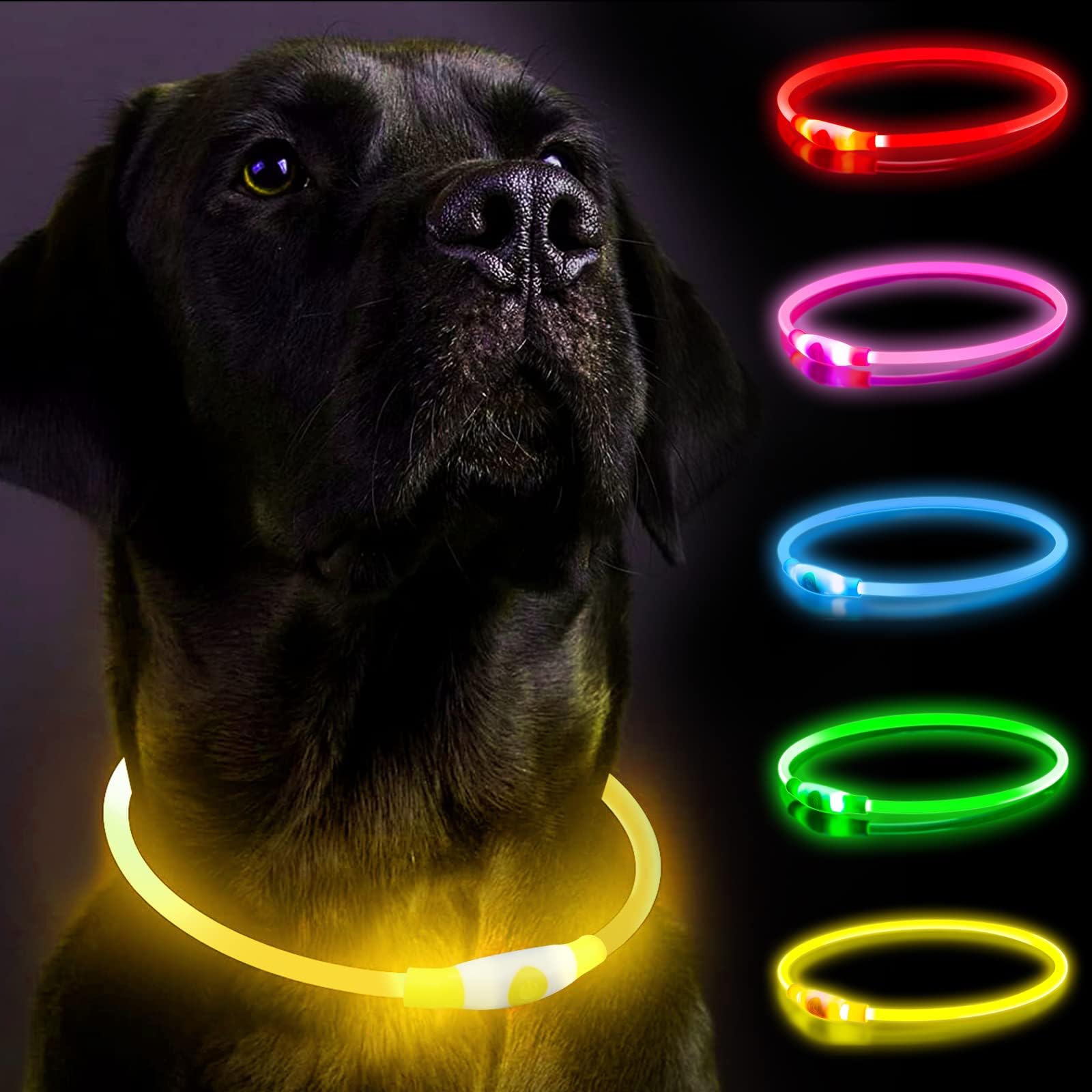 Light Up Dog Collar for The Dark, Dog Collar Light with USB Rechargeable, Led Dog Collar, Adjustable Flashing Puppy Collars with Three Light Modes, Basic Collar (Yellow) — image 1