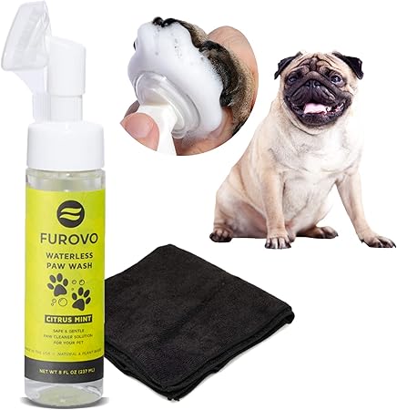 natural dog cleaner