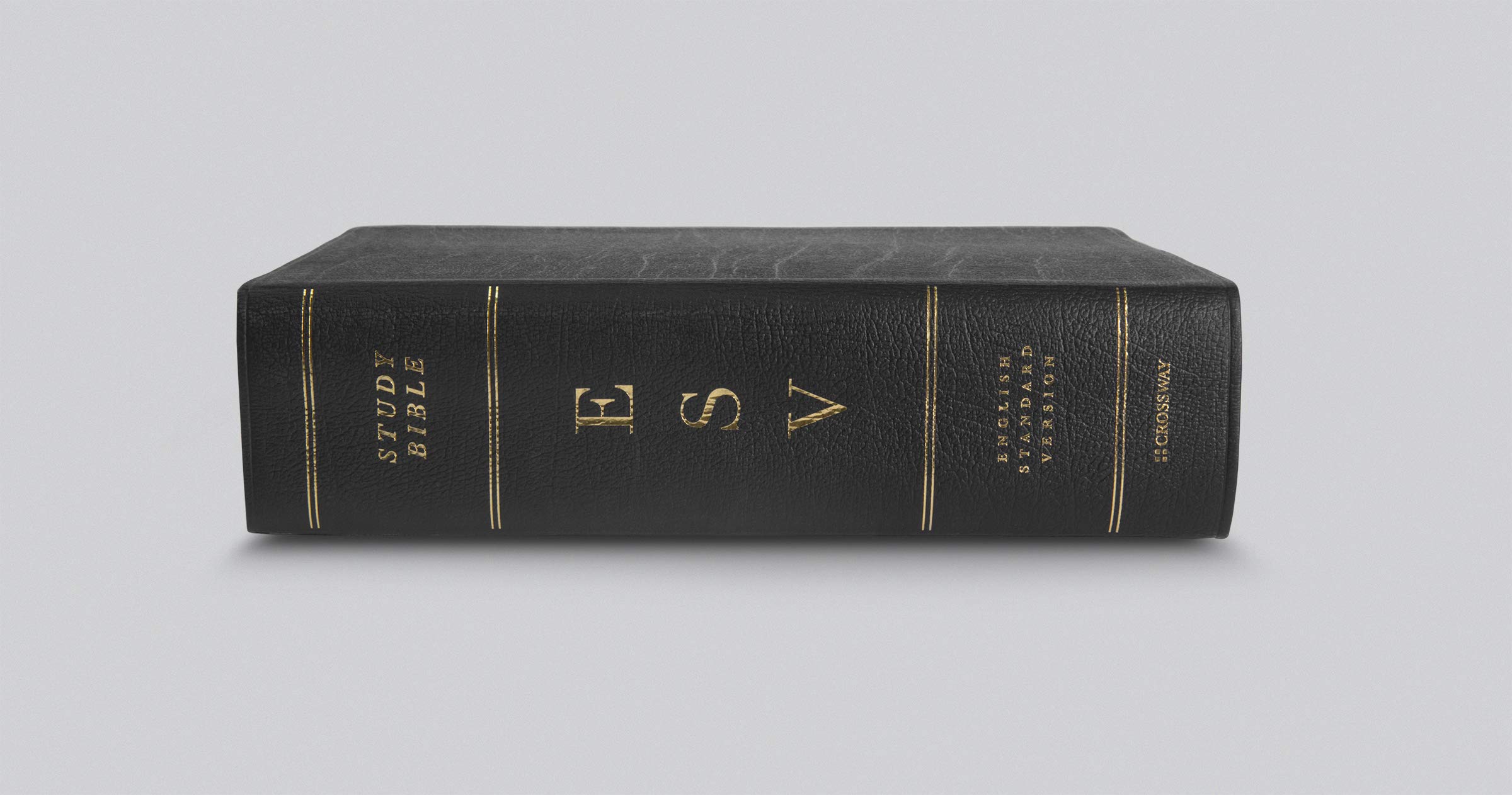 ESV Study Bible, Large Print (Genuine Leather, Black) ESV Study Bible, Large Print (Genuine Leather, Black) Leather Bound
