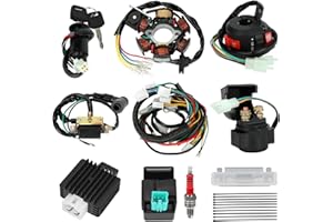SHIQINHA Complete Wiring Harness Kit Compatible with Tao tao Coolster 125cc 110cc Chinese ATV Quad 4 Wheeler 4 Stroke Parts with Ignition Coil Stator CDI Box Starter Relay Solenoid Voltage Regulator