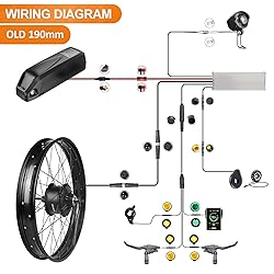 BAFANG 48V 1000W Rear Hub Motor : 26 Inch Fat Tire