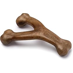 Benebone Wishbone Durable Dog Chew Toy for
