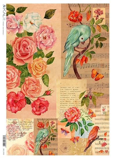 decoupage amazon & Awesome 2017 Design Carta Cucina Ideas Di Ideas Riso decoupage amazon & Awesome 2017 Design Carta Cucina Ideas Di Ideas Riso