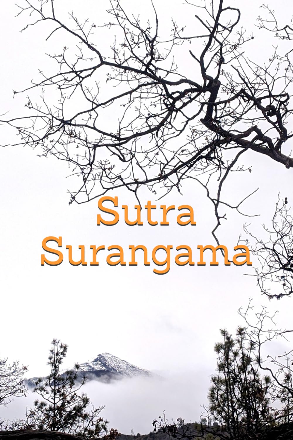 Sutra Surangama (Edición Española)