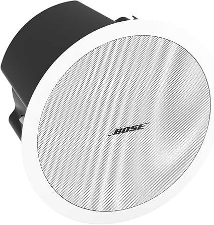 bose 251 ohms