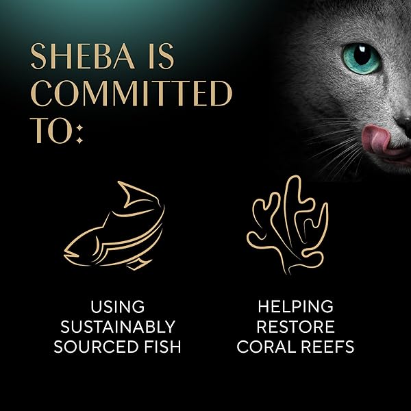SHEBA PERFECT PORTIONS WET CAT FOOD CUTS IN GRAVY, WITH SUSTAINABLE SALMON, TENDER TROUT ENTREE, AND WITH SUSTAINABLE TUNA, 2.6 OZ. TWIN-PACK TRAYS (24 COUNT, 48 SERVINGS)