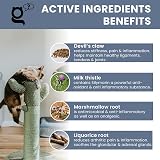 THE PET GURU Joint Guru Mobility Supplement for Cats 100ml view 2