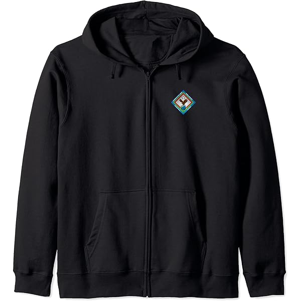 Amazon.com: AWS + WBD Zip Hoodie Zip Hoodie : Clothing, Shoes
