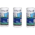 Culligan CW5-BBS Whole House Premium Water Filter Cartridge, 16,000 Gallons, 3 Pack