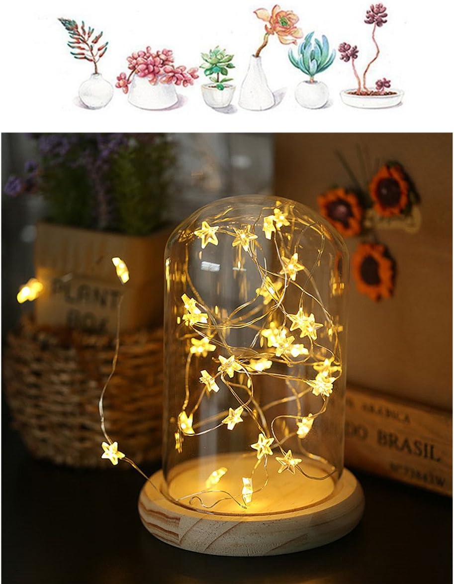 MUCHER {SECOND VERSION} Glass Dome Lamp Bell Jar Display Dome Bamboo Base String USB LED Warm White Light Bedside Table Lamp with LED Warm Fairy Starry String Lights ideal for Decoration Anywhere.