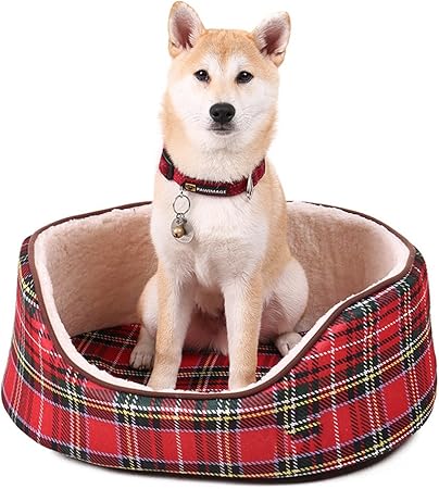 amazon venta de perros