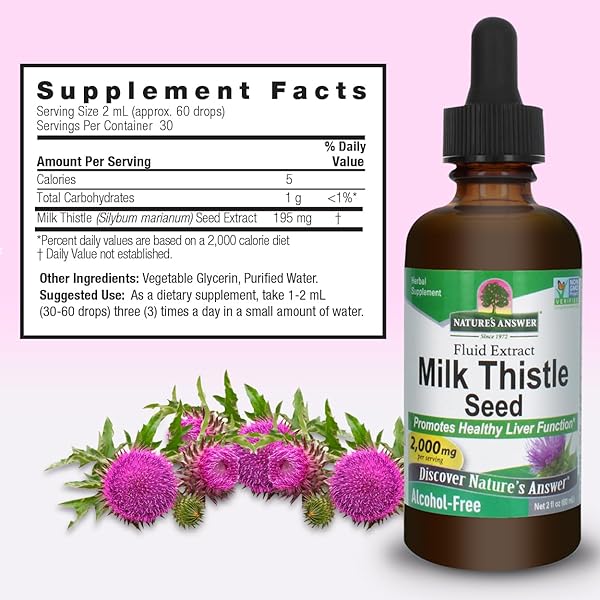NATURE’S ANSWER MILK THISTLE 2 OUNCE EXTRACT – ALCOHOL FREE, NON GMO, LIVER SUPPORT SUPPLEMENT FOR EVERYONE – LIVER DETOX, MADE IN USA
