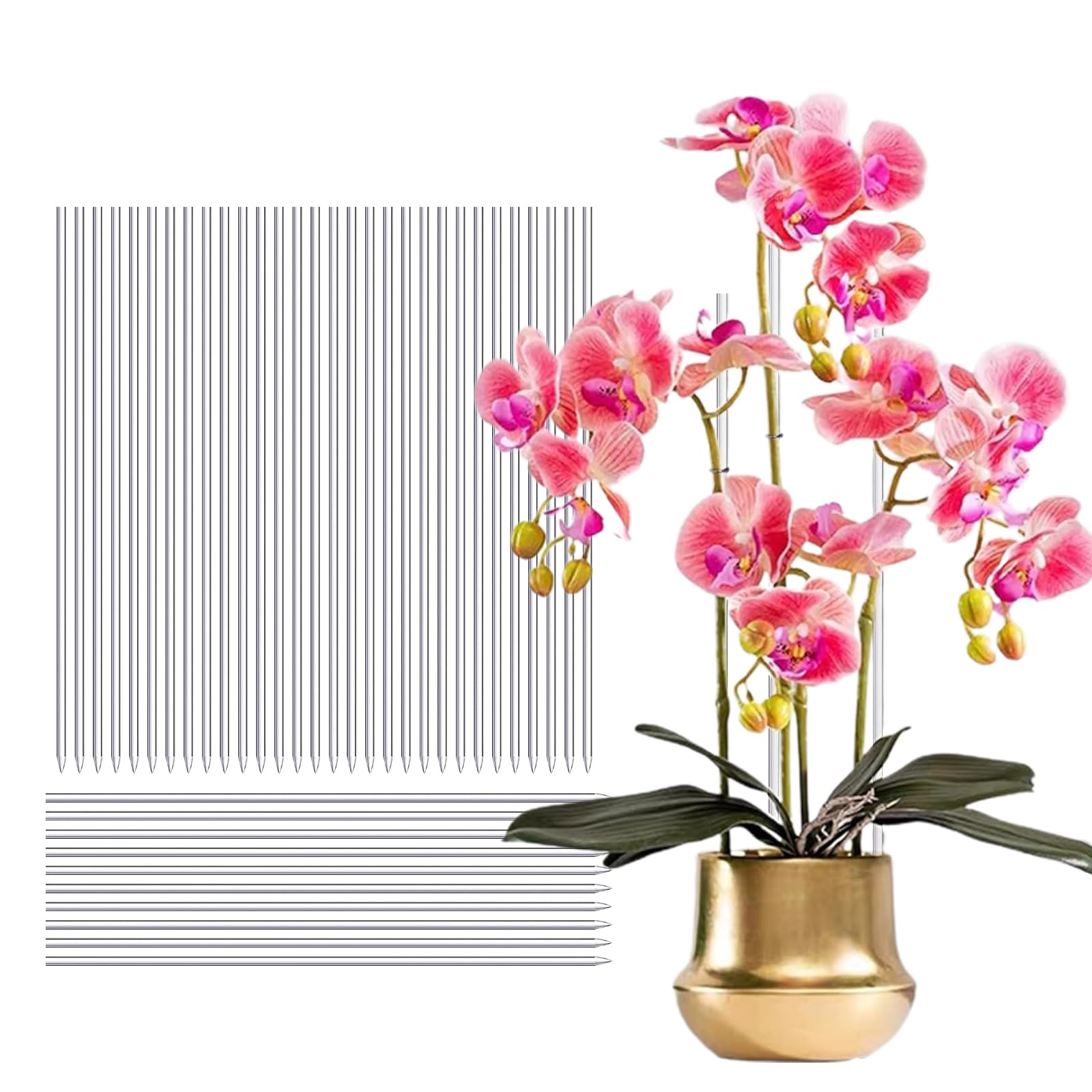 Tefola Plant Support Stakes,30pcs 40cm Acrylic Plant Stakes,Transparent Plant Stakes for Indoor Plants,Garden Flower Stakes for Orchid Pea Vegetables Support