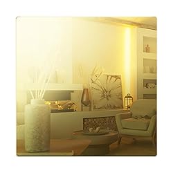 LIDER Double Blank Wall Plate, Temperature and