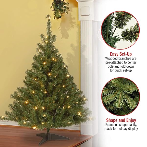 NATIONAL TREE COMPANY 4 FT PRE-LIT KINCAID SPRUCE MINI ARTIFICIAL CHRISTMAS TREE, 100 CLEAR LIGHTS, 269 TIPS, INCLUDES STAND, GREEN