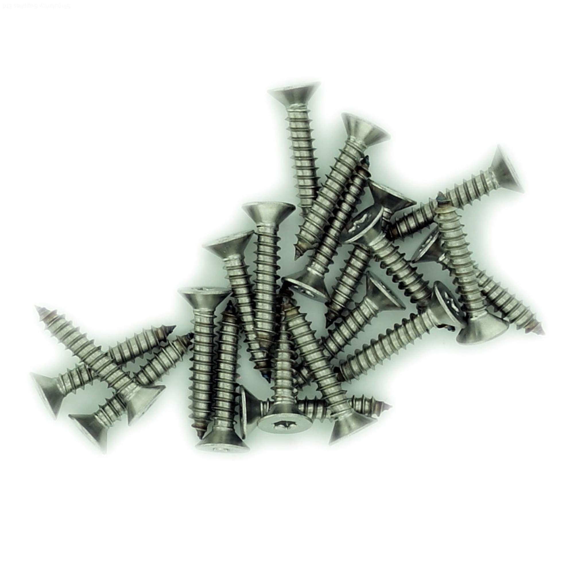 No.6 x 0.375 (3.5mm x 9.5mm) TX Countersunk Self-Tapping Screw - Stainless Steel (A2) (Pack of 20)