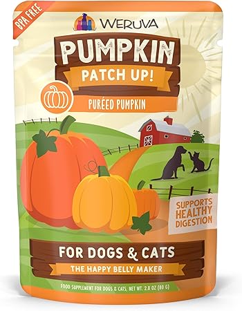 is pumpkin puree good for dogs